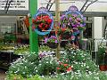 2005-0416wyevale